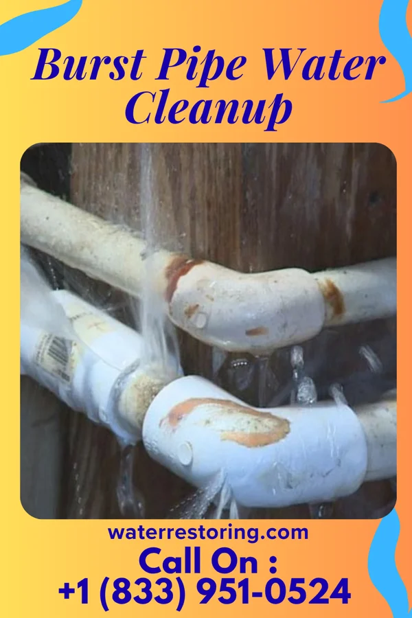 Burst Pipe Water Cleanup in Wakonda, SD