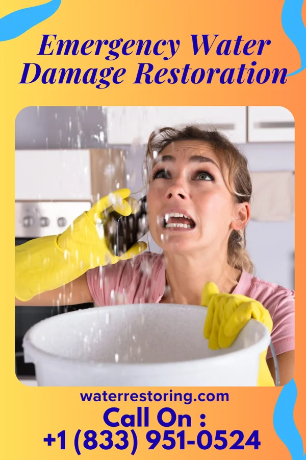 Emergency Water Damage Restoration in Wakonda, SD