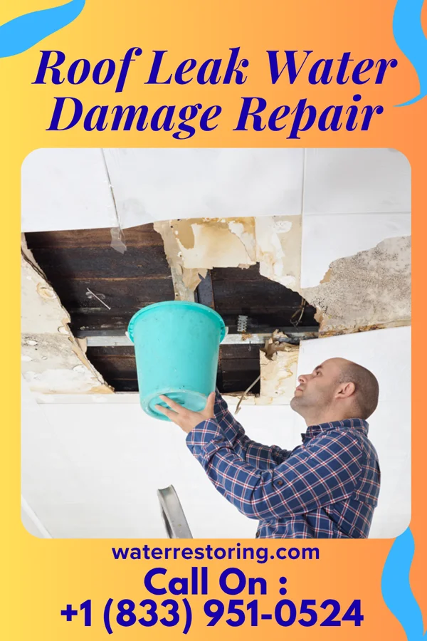 Roof Leak Water Damage Repair in Wakonda, SD